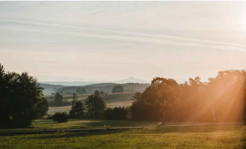 Five Things You Need to Know to Start Your Day